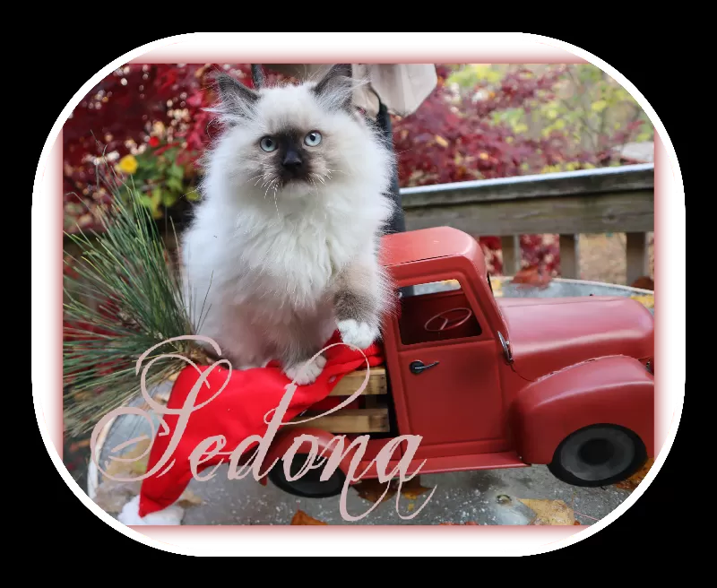 Sedona