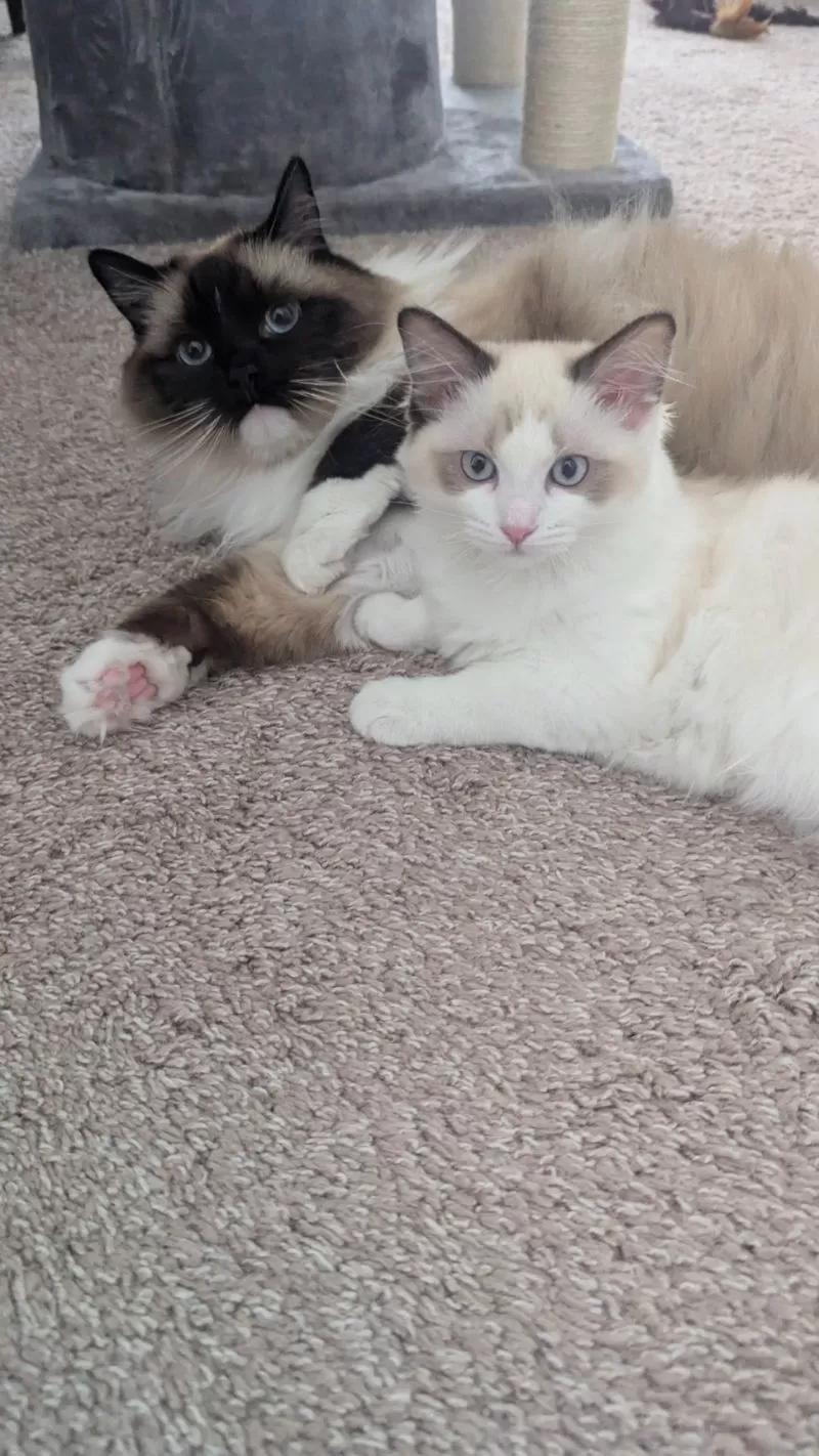 Kevin and Rosy